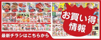 最新チラシ